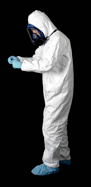 Reliable Pipestone, MN Mold Removal Solutions